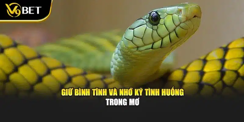 Nằm Mơ Thấy Rắn - V9BET Hé Lộ Điềm Báo, Cơ Hội Và Cảnh Báo 4 Giữ bình tĩnh và nhớ kỹ tình huống trong mơ