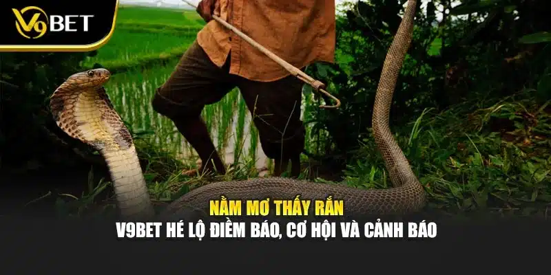Nằm Mơ Thấy Rắn - V9BET Hé Lộ Điềm Báo, Cơ Hội Và Cảnh Báo 1 Nằm Mơ Thấy Rắn - V9BET Hé Lộ Điềm Báo, Cơ Hội Và Cảnh Báo